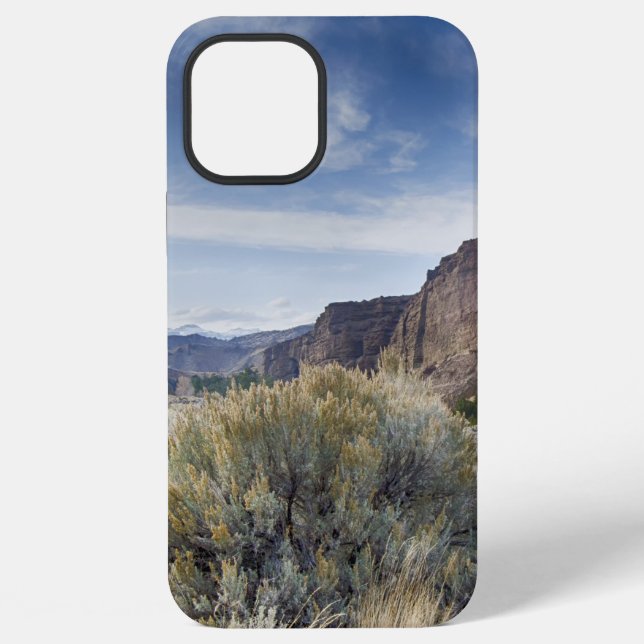 Funda Para iPhone Yellowstone (Reverso )