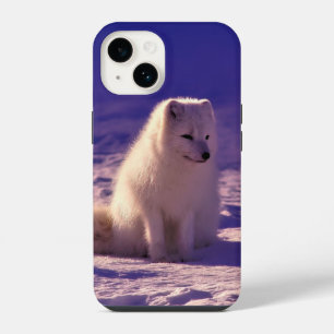 Funda Para iPhone 14 Zorro ártico