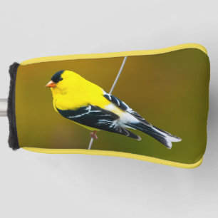 Funda Para Palo De Golf American Goldfinch - Fotografía original