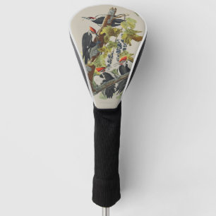 Funda Para Palo De Golf Arte de pájaro carpintero pileado vintage Audubon