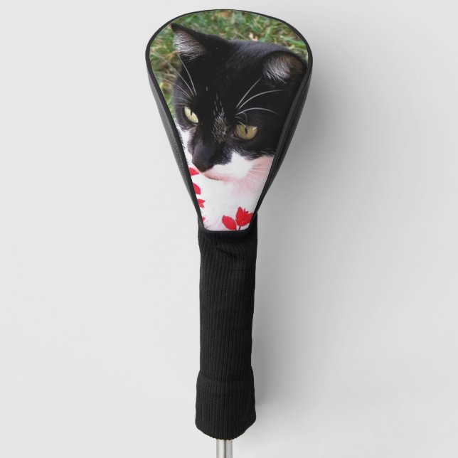 Funda Para Palo De Golf Asombroso gato de Tuxedo en el jardín (Anverso)