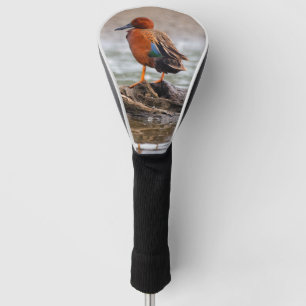 Funda Para Palo De Golf Asombroso pato Verde azulado de canela sobre el ro