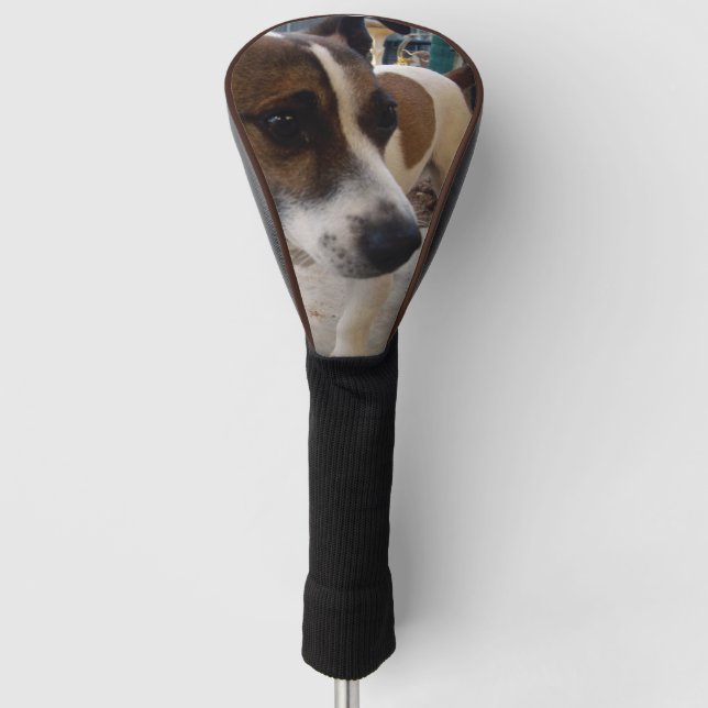 Funda Para Palo De Golf Atracción de Perro Fox Terrier, (Anverso)