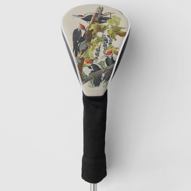 Funda Para Palo De Golf Audubon Pileated Woodpecker Bird Painting (Anverso)