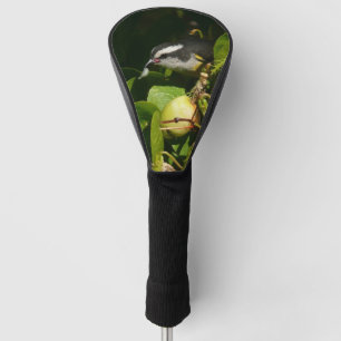 Funda Para Palo De Golf Aves Bananaquit comiendo fotografía tropical