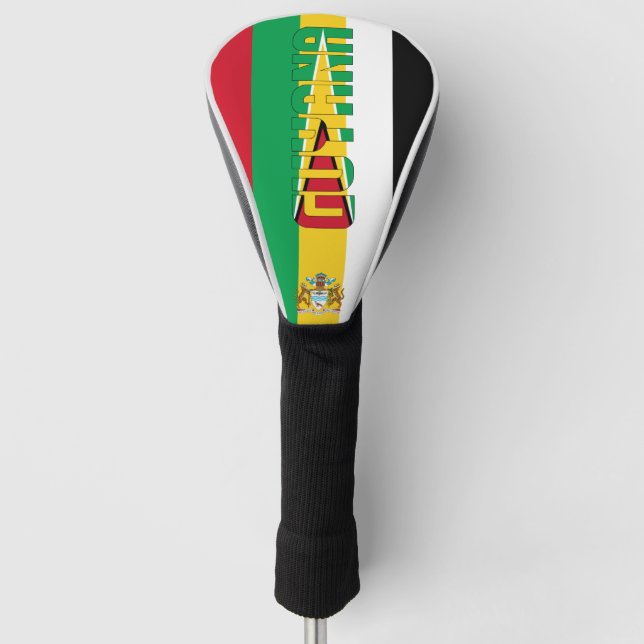 Funda Para Palo De Golf Bandera de Guyana espléndida patriótica (Anverso)