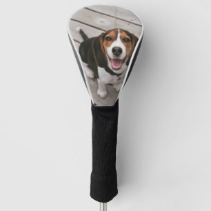 Funda Para Palo De Golf Beagle_puppy sentado