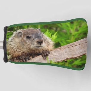 Funda Para Palo De Golf Bebé Adorable Groundhog / leodchuk Arriba Cierre