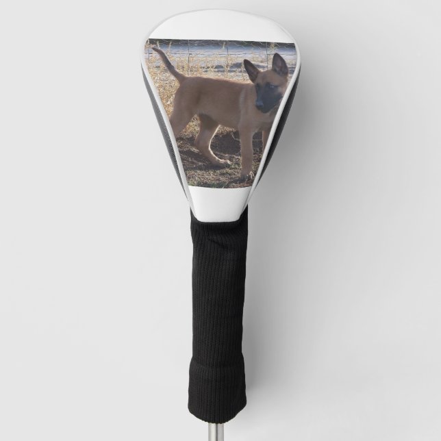 Funda Para Palo De Golf Belga_Malinois_Puppy completo (Anverso)