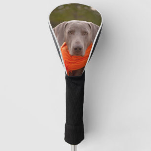 Funda Para Palo De Golf Bufanda Perro Weimaraner Canino Mascota