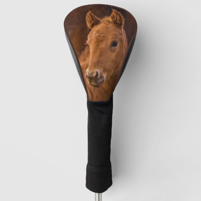 Funda Para Palo De Golf Caballo bebé (Anverso)