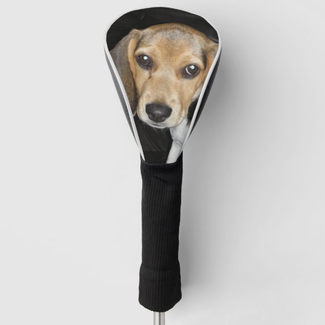 Funda Para Palo De Golf cachorro beagle 2 (Anverso)