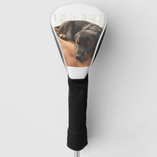 Funda Para Palo De Golf cachorro-de-doberman-pinscher