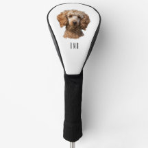 Caniche