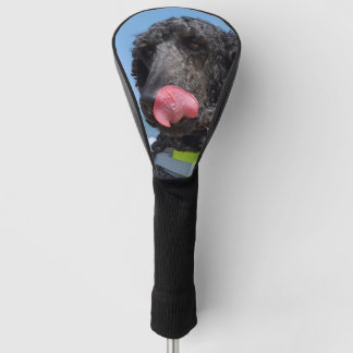 Funda Para Palo De Golf Caniche estándar
