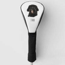 Caniche negro