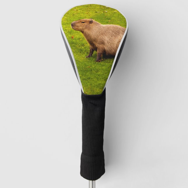 Funda Para Palo De Golf Capibara (Anverso)