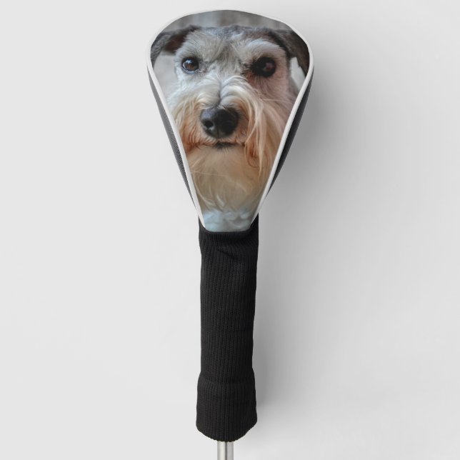 Funda Para Palo De Golf Cara del perro Schnauzer (Anverso)