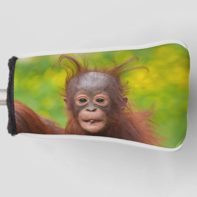 Funda Para Palo De Golf Carácter quirky de un bebé orangután (Anverso)