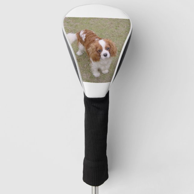 Funda Para Palo De Golf Cavalier-king-charles-spaniel completo (Anverso)