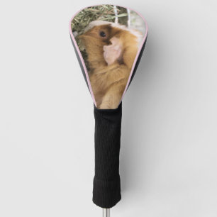 Funda Para Palo De Golf Cerdito