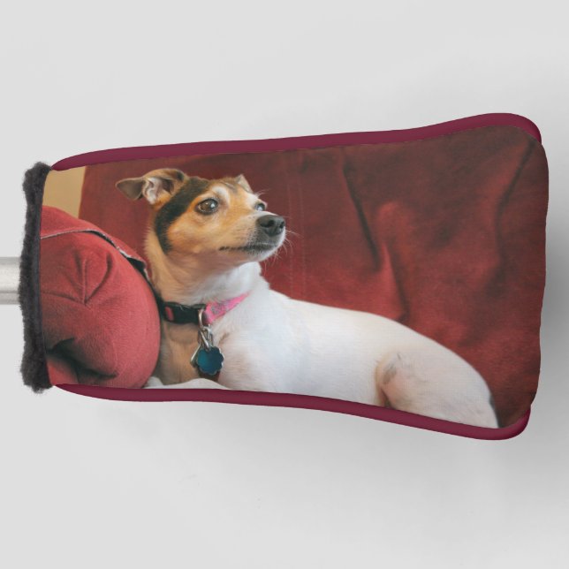 Funda Para Palo De Golf Clásico (Anverso)