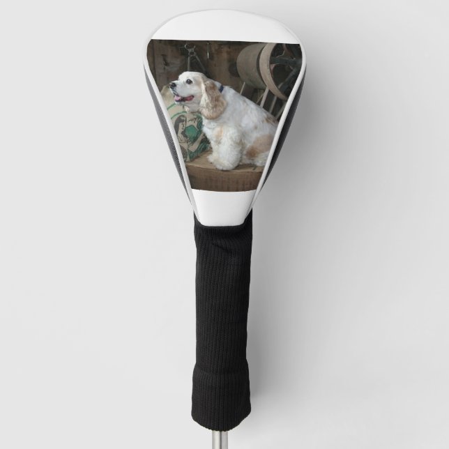 Funda Para Palo De Golf cocker spaniel americano sentado (Anverso)