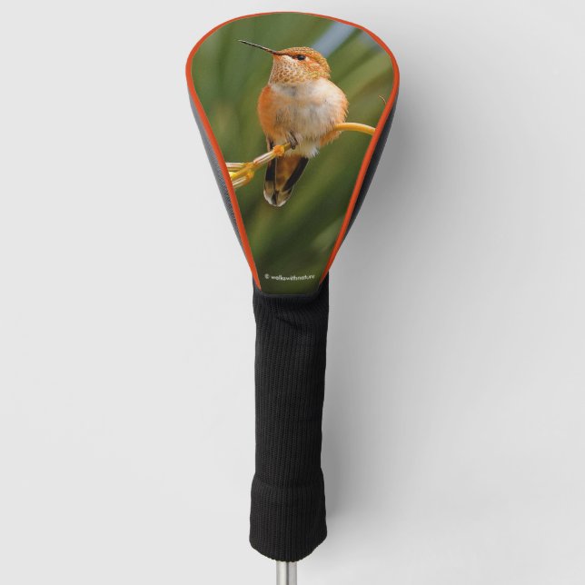Funda Para Palo De Golf Colibrí espumoso en reposo (Anverso)