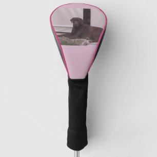 Funda Para Palo De Golf Colocación de laboratorio de chocolate