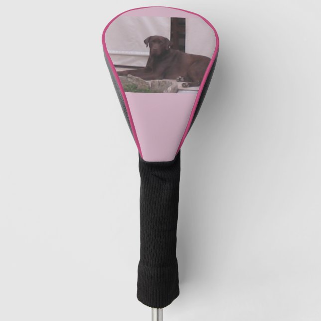 Funda Para Palo De Golf Colocación de laboratorio de chocolate (Anverso)