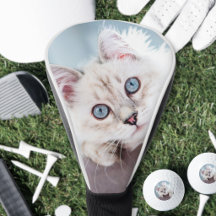 Crea tu propia foto de mascota