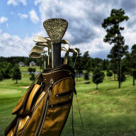 Funda Para Palo De Golf Cuadrícula de Brownstone