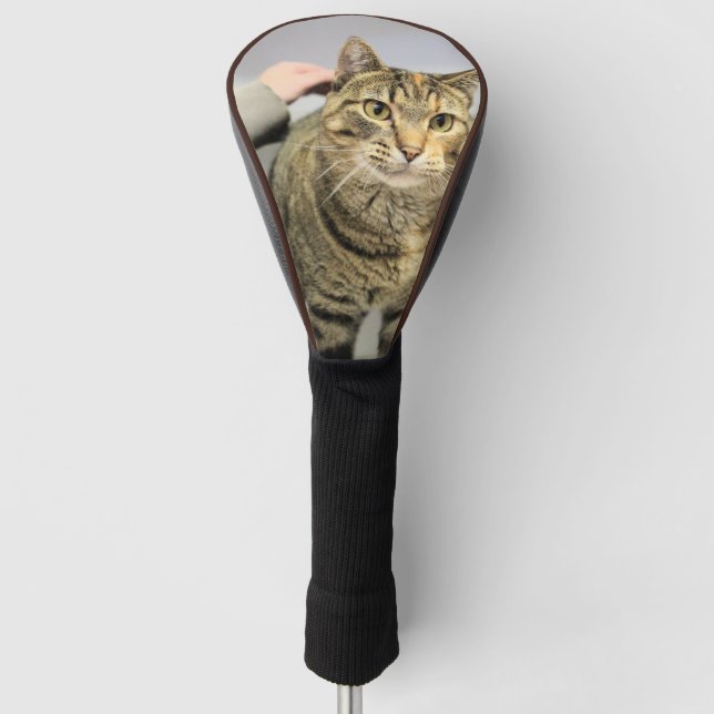 Funda Para Palo De Golf Cubierta de cabeza de gato (Anverso)