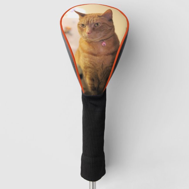 Funda Para Palo De Golf Cubierta de cabeza de gato (Anverso)