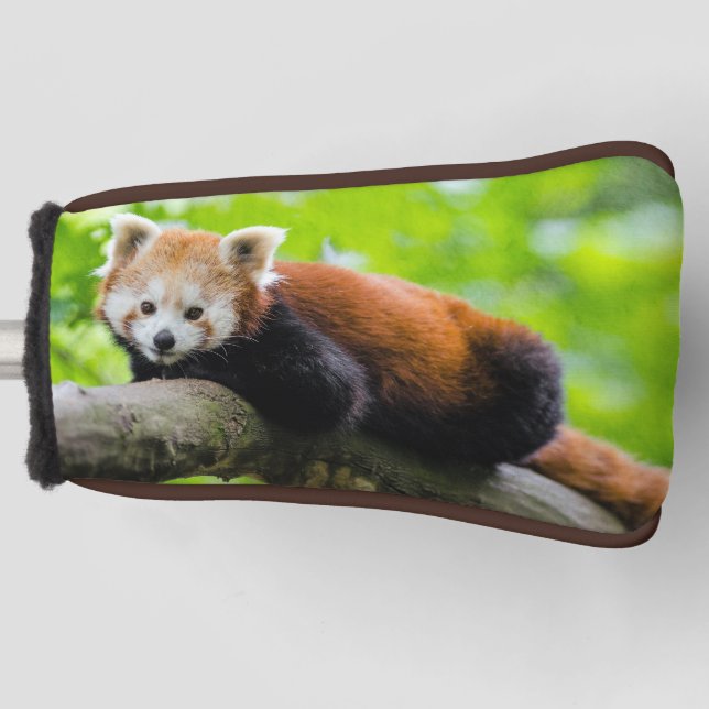 Funda Para Palo De Golf Cubierta de cabeza de golf del Panda Rojo (Anverso)
