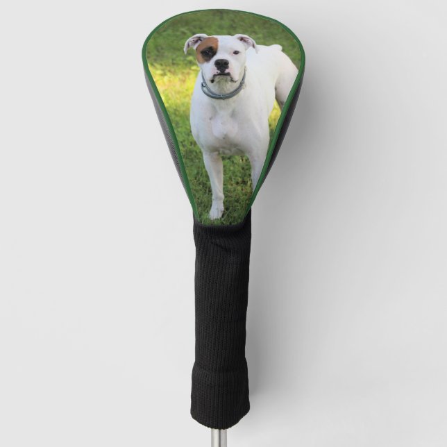 Funda Para Palo De Golf Cubierta de cabezal de golf Boxer (Anverso)