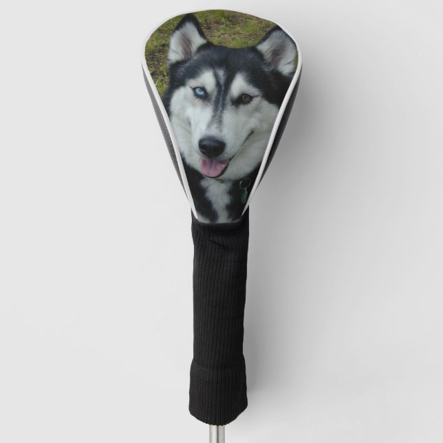 Funda Para Palo De Golf Cubierta del club de golf del husky siberiano (Anverso)