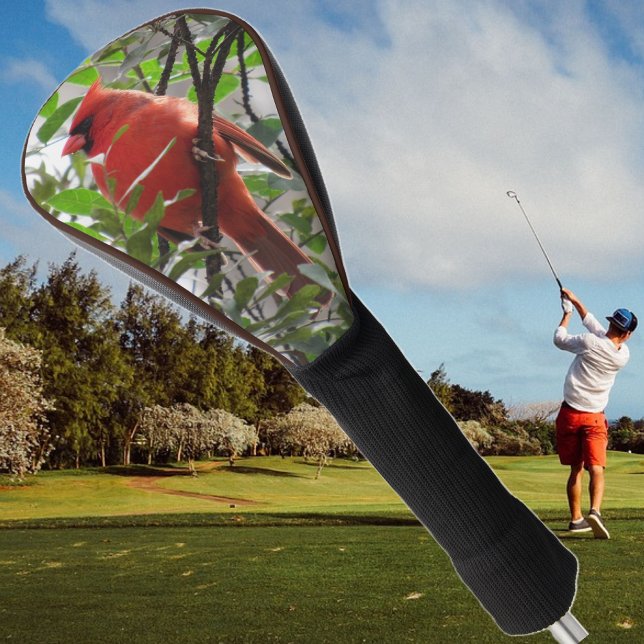 Funda Para Palo De Golf Cubierta masculina del club de golf para conductor (Cardinal Golf Club cover)