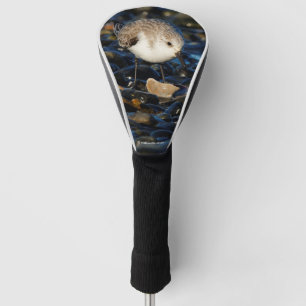 Funda Para Palo De Golf Cuidada sanderling Sandpiper Shorebird come a clam