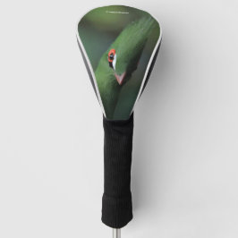 Funda Para Palo De Golf Curioso curioso Guinea Turaco Ave Verde