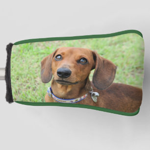 Funda Para Palo De Golf Dachshund