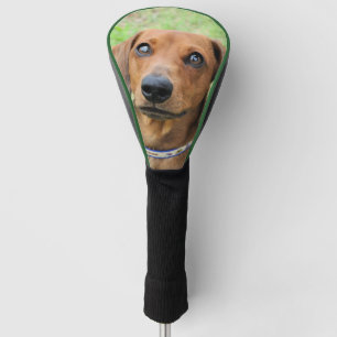 Funda Para Palo De Golf Dachshund