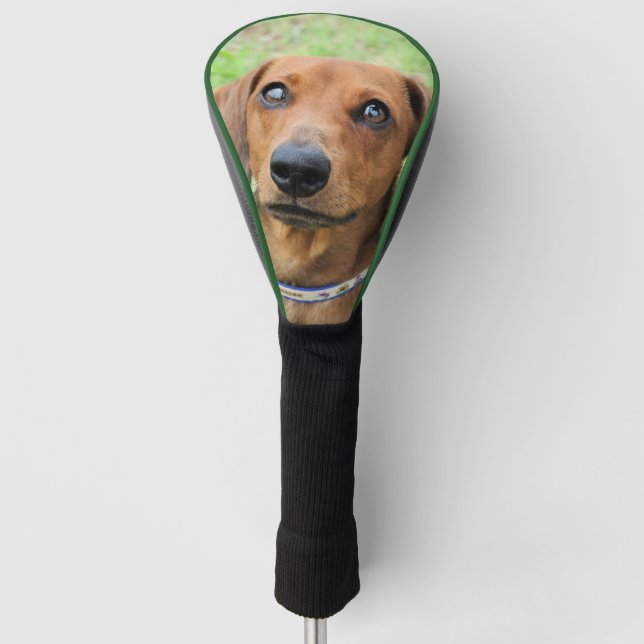 Funda Para Palo De Golf Dachshund (Anverso)