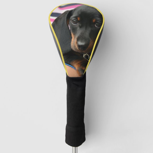 Funda Para Palo De Golf dachshund-puppy lindo (Anverso)
