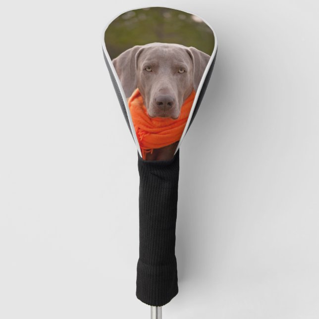 Funda Para Palo De Golf Dog Weimaraner Scarf Mascota Canine (Anverso)