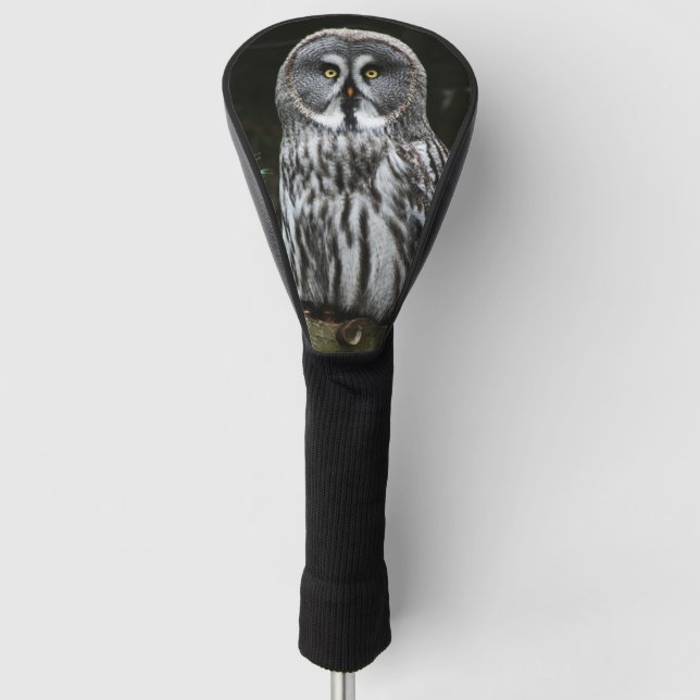 Funda Para Palo De Golf El gran búho gris dca (Anverso)