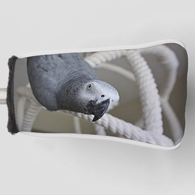 Funda Para Palo De Golf El loro gris africano del Congo se divertido (Anverso)