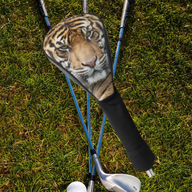 Funda Para Palo De Golf Feroz foto de cara de tigre (In Situ Golfing)