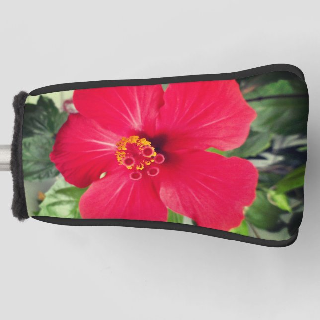 Funda Para Palo De Golf Flor roja de Hibiscus Rosa-sinensis (Anverso)
