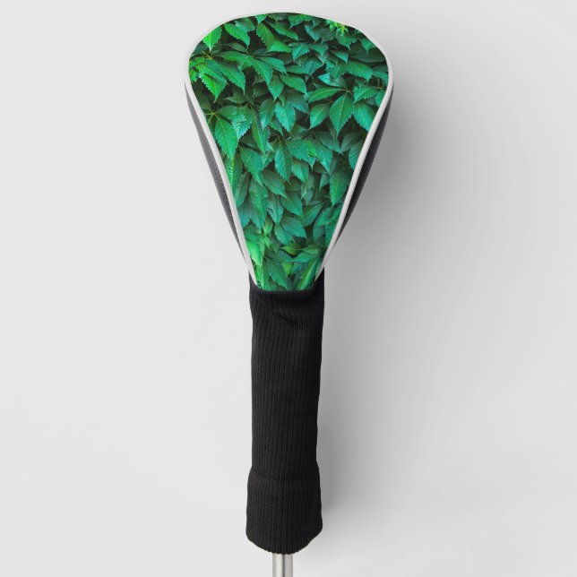 Funda Para Palo De Golf fondo de seto verde parthenocissus patrón texto (Anverso)